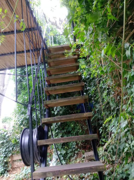 Apartamento Casa En Plata Alta En El Bosque. *